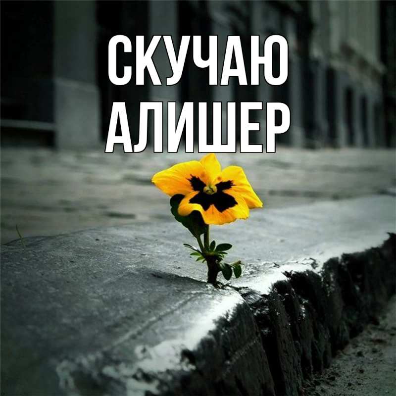 Картинка Скучаю, Алишер