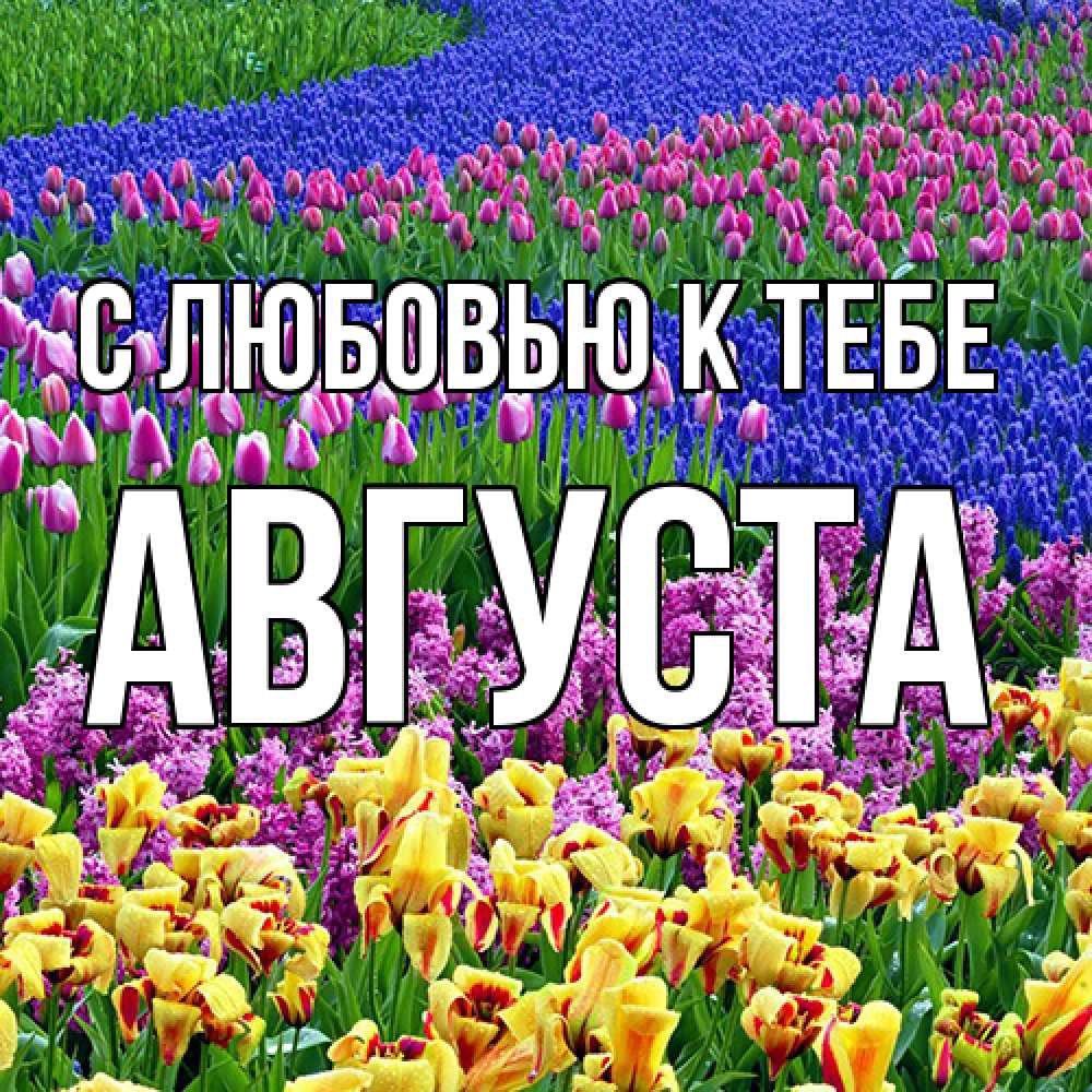 Открытка  с именем. Августа, С любовью к тебе  