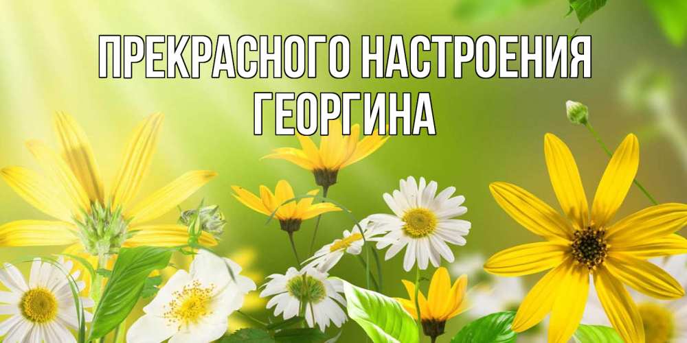 Открытка  с именем. Георгина, Прекрасного настроения  