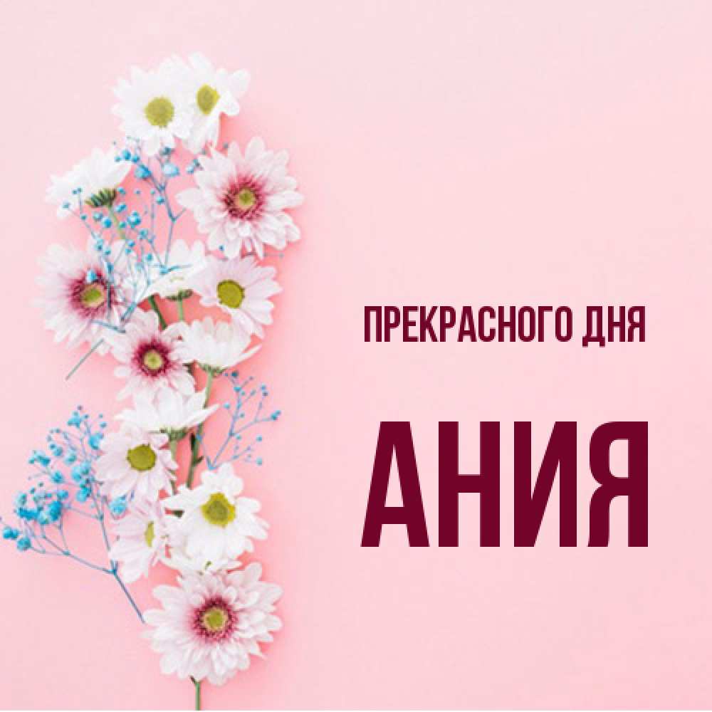 Открытка  с именем. Ания, Прекрасного дня  