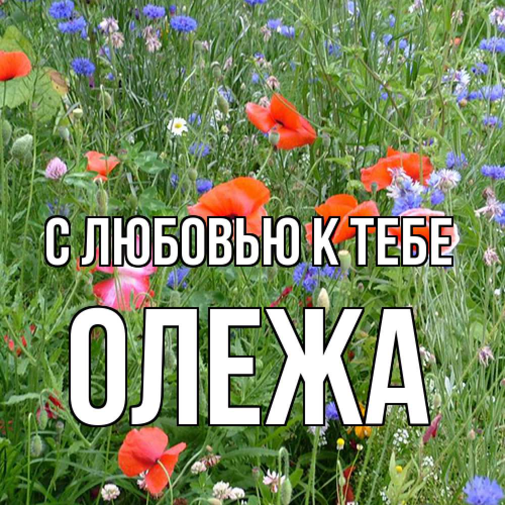 Открытка  с именем. Олежа, С любовью к тебе  