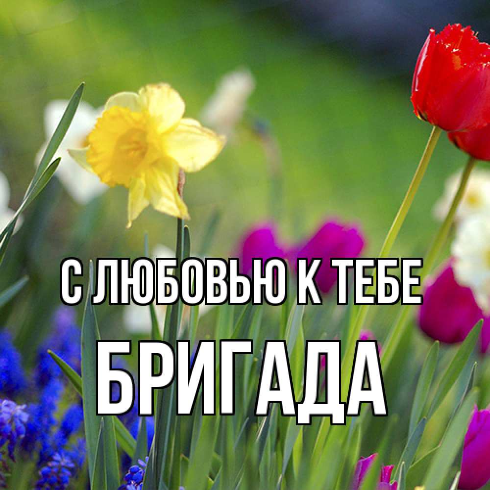 Открытка  с именем. Бригада, С любовью к тебе  