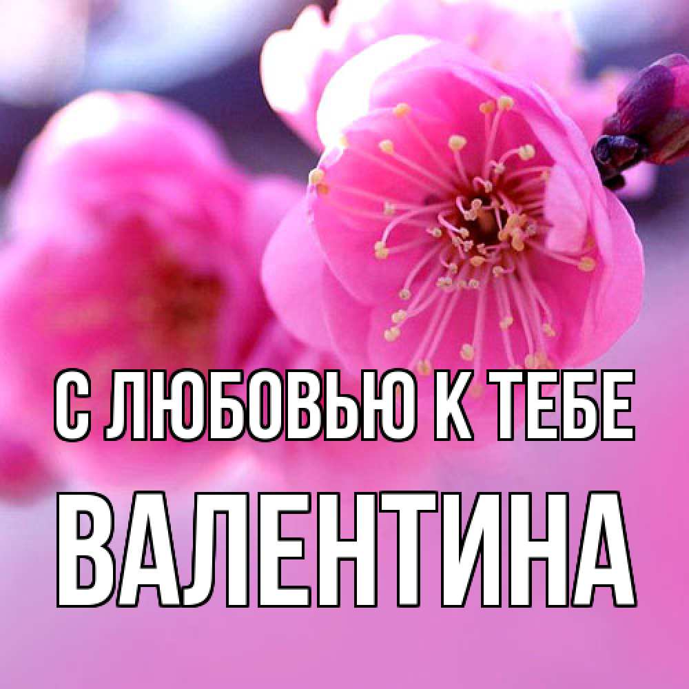 Открытка  с именем. валентина, С любовью к тебе  