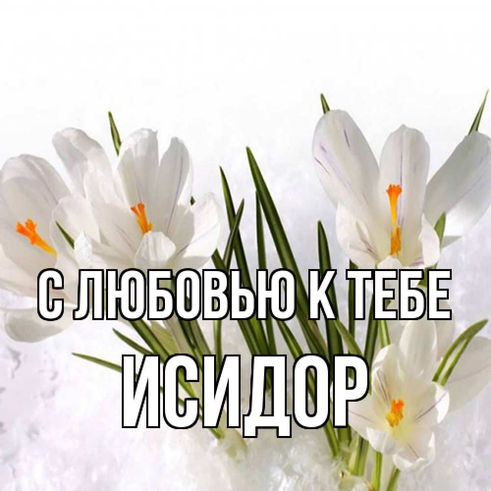 Открытка  с именем. Исидор, С любовью к тебе  