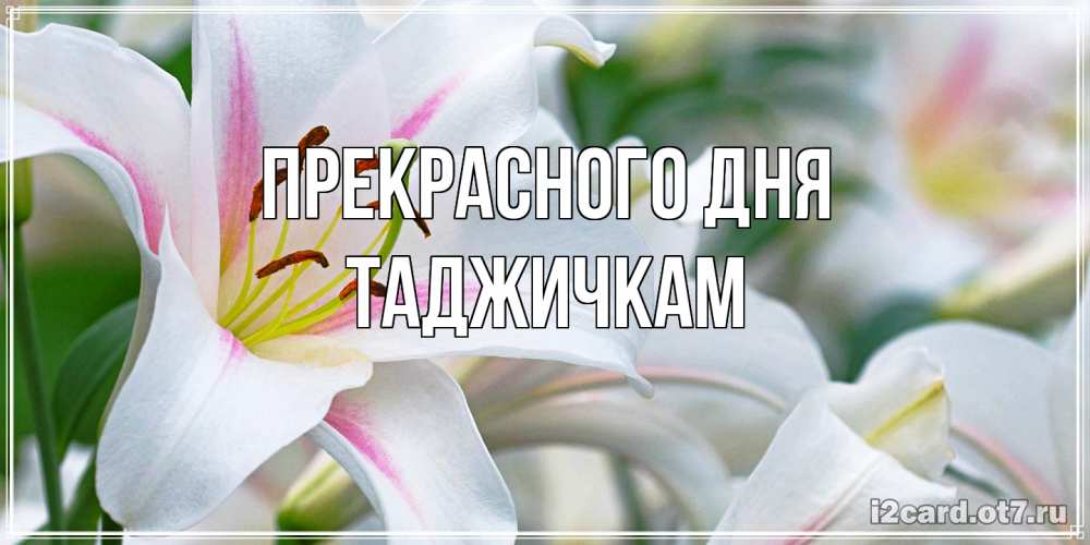 Открытка  с именем. Таджичкам, Прекрасного дня  