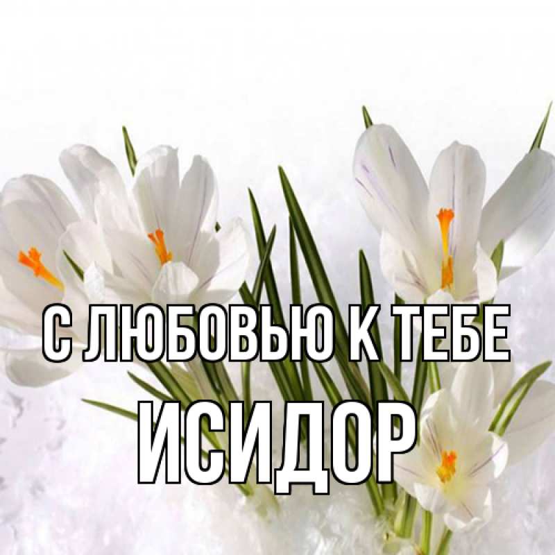 Картинка С любовью к тебе, Исидор