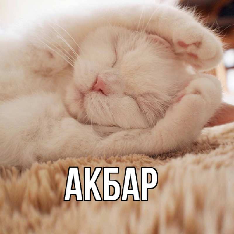 Картинка  с именем , Акбар