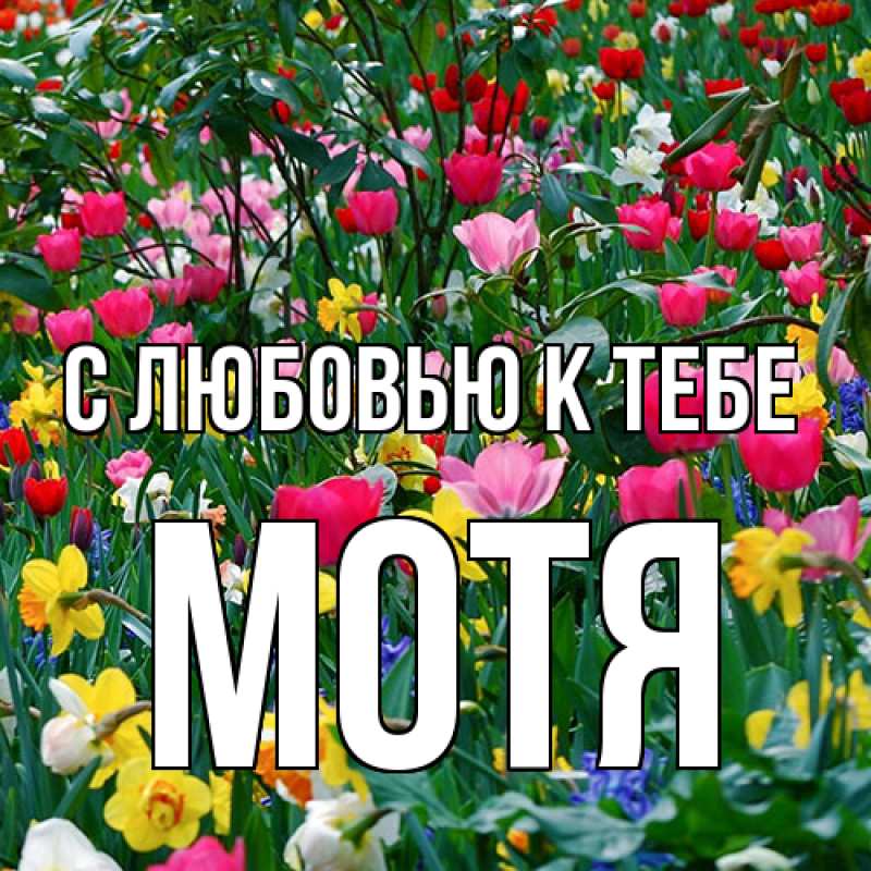 Картинка С любовью к тебе, Мотя