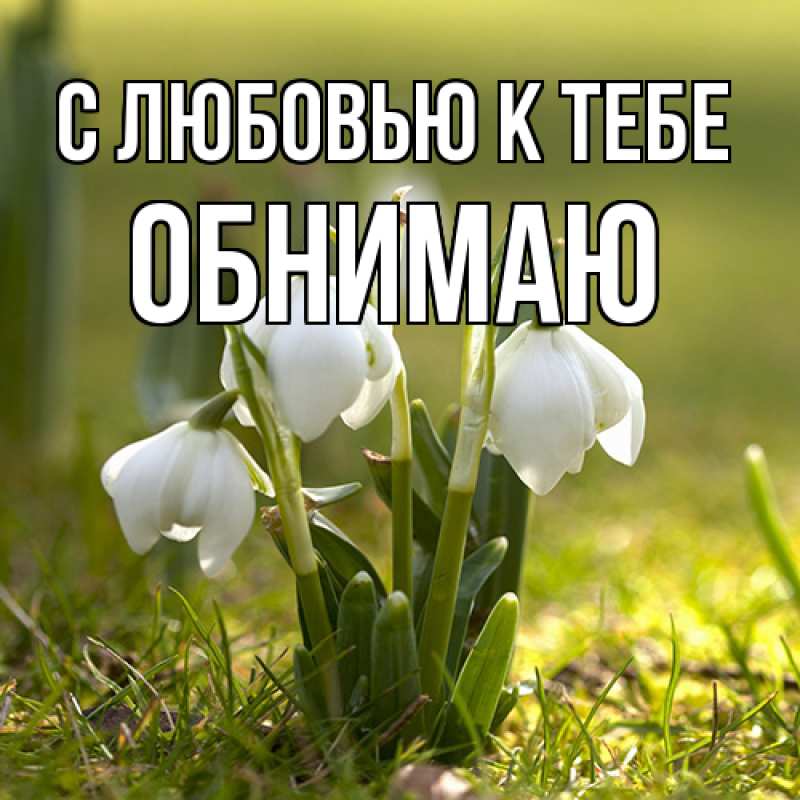 Картинка С любовью к тебе, Обнимаю