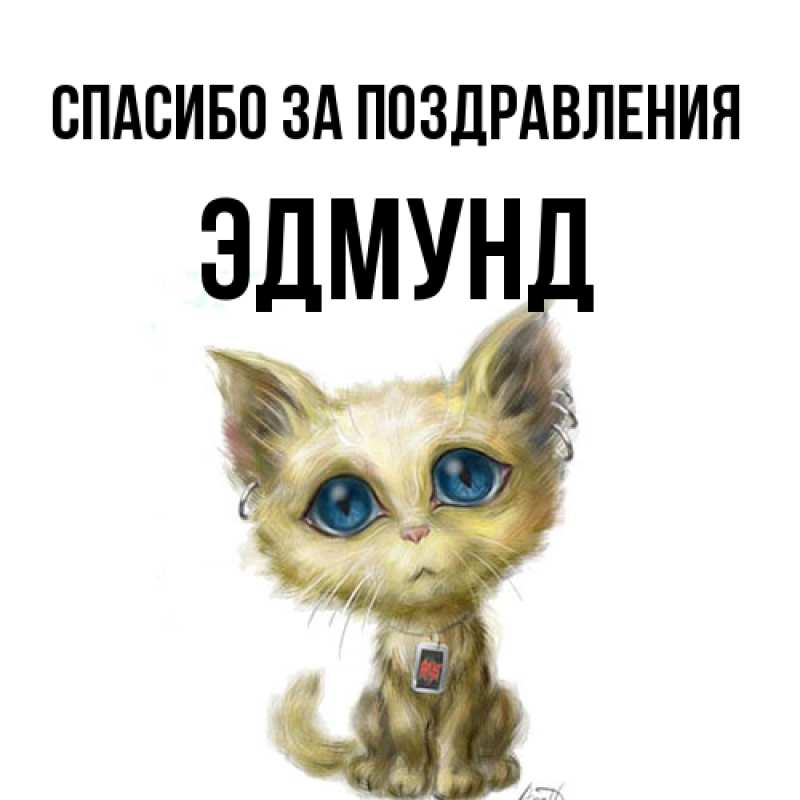 Картинка Спасибо за поздравления, Эдмунд
