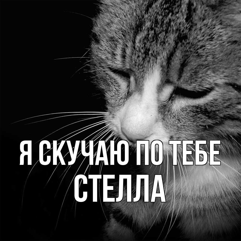 Открытка  с именем. Стелла, Я скучаю по тебе  