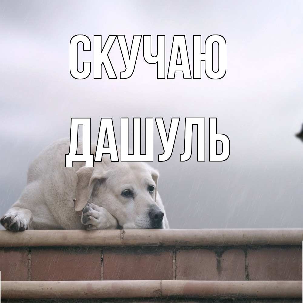 Открытка  с именем. Дашуль, Скучаю  