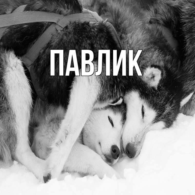 Картинка  с именем , Павлик
