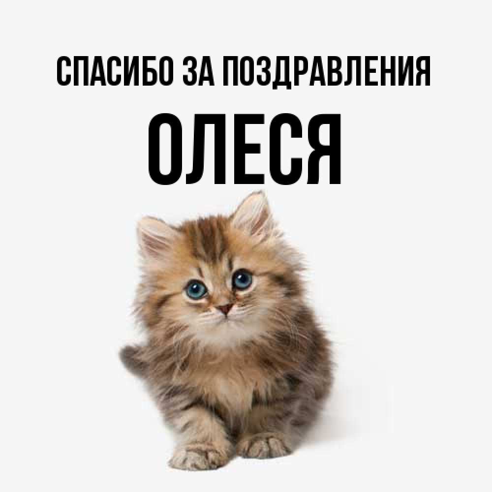 Олеся Красивые Картинки