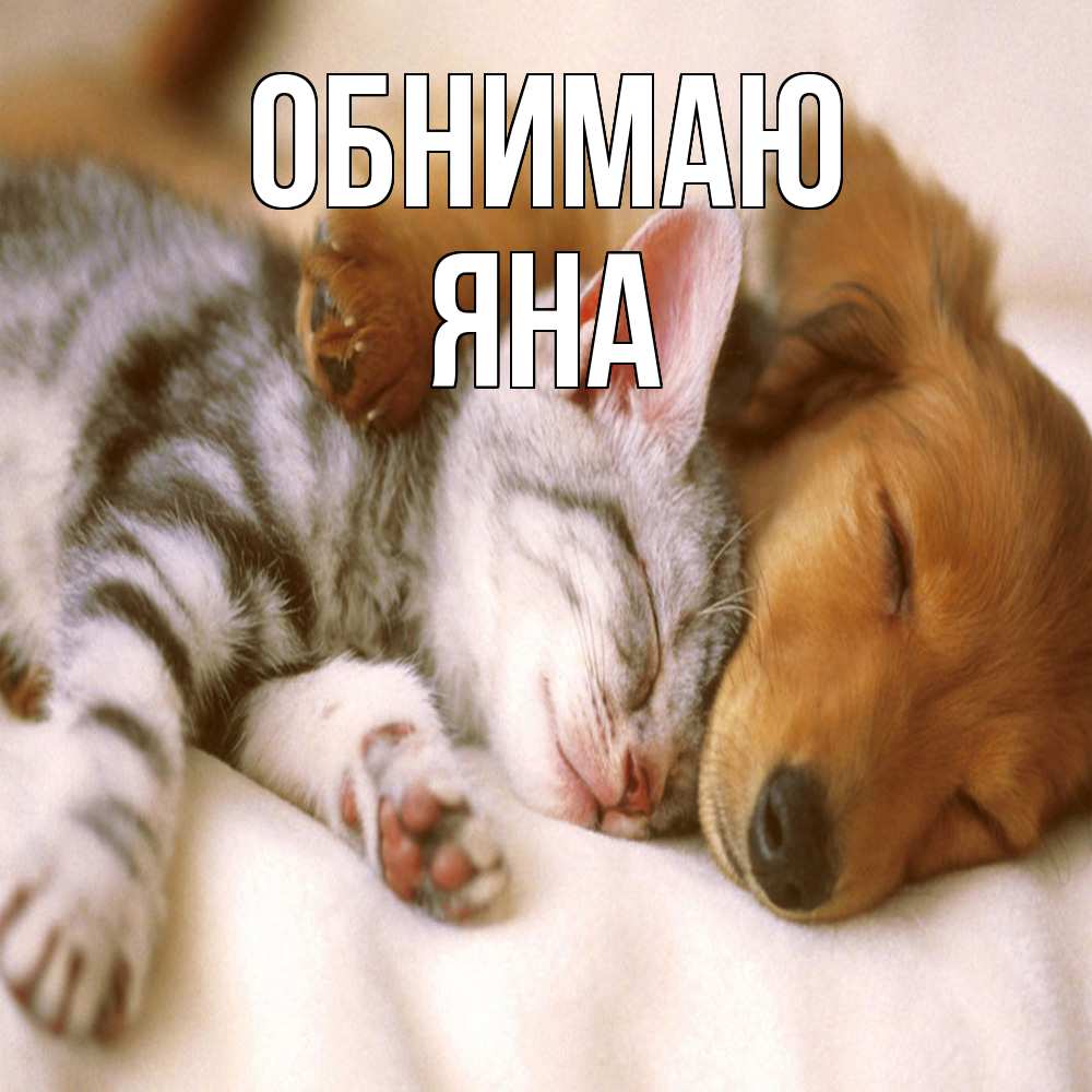 Открытка  с именем. Яна, Обнимаю  