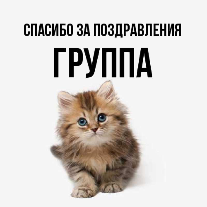 Картинка Спасибо за поздравления, Группа