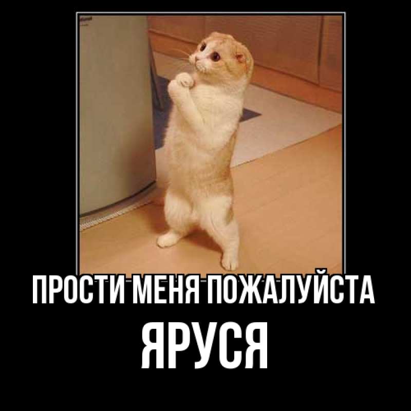 Картинка Прости меня пожалуйста, Яруся
