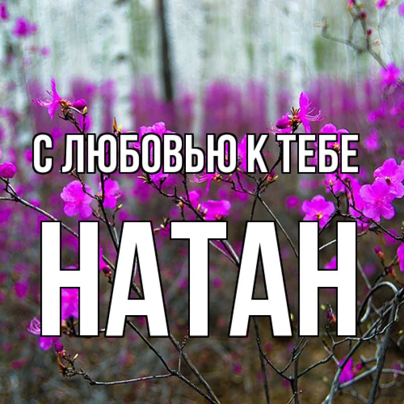 Картинка С любовью к тебе, Натан