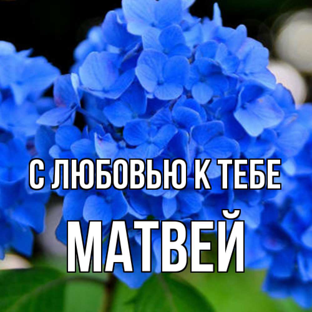 Открытка  с именем. Матвей, С любовью к тебе  