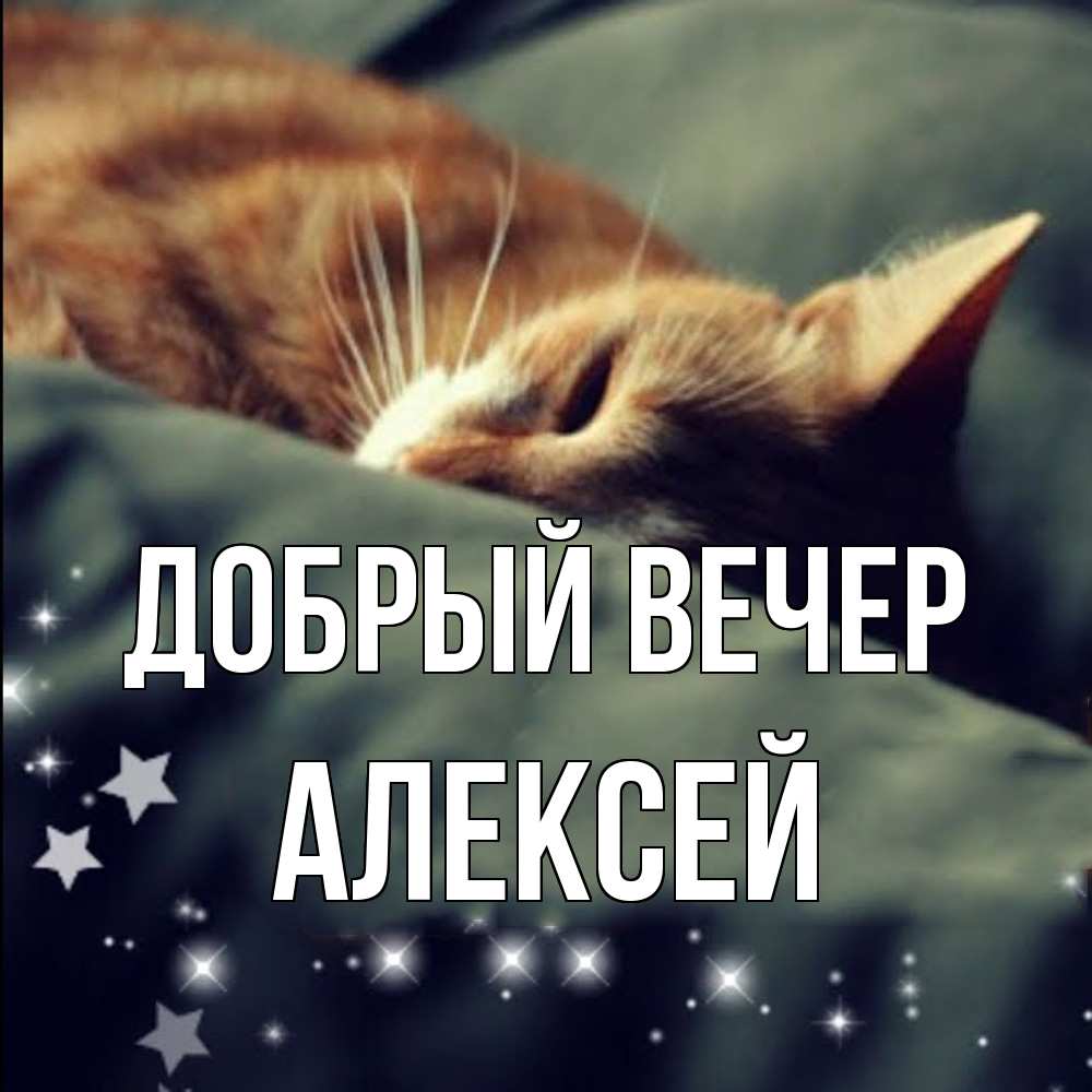 Открытка  с именем. Алексей, Добрый вечер  