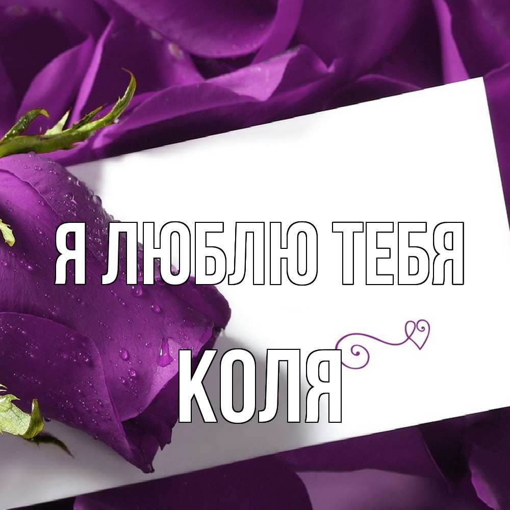 Открытка  с именем. Коля, Я люблю тебя  