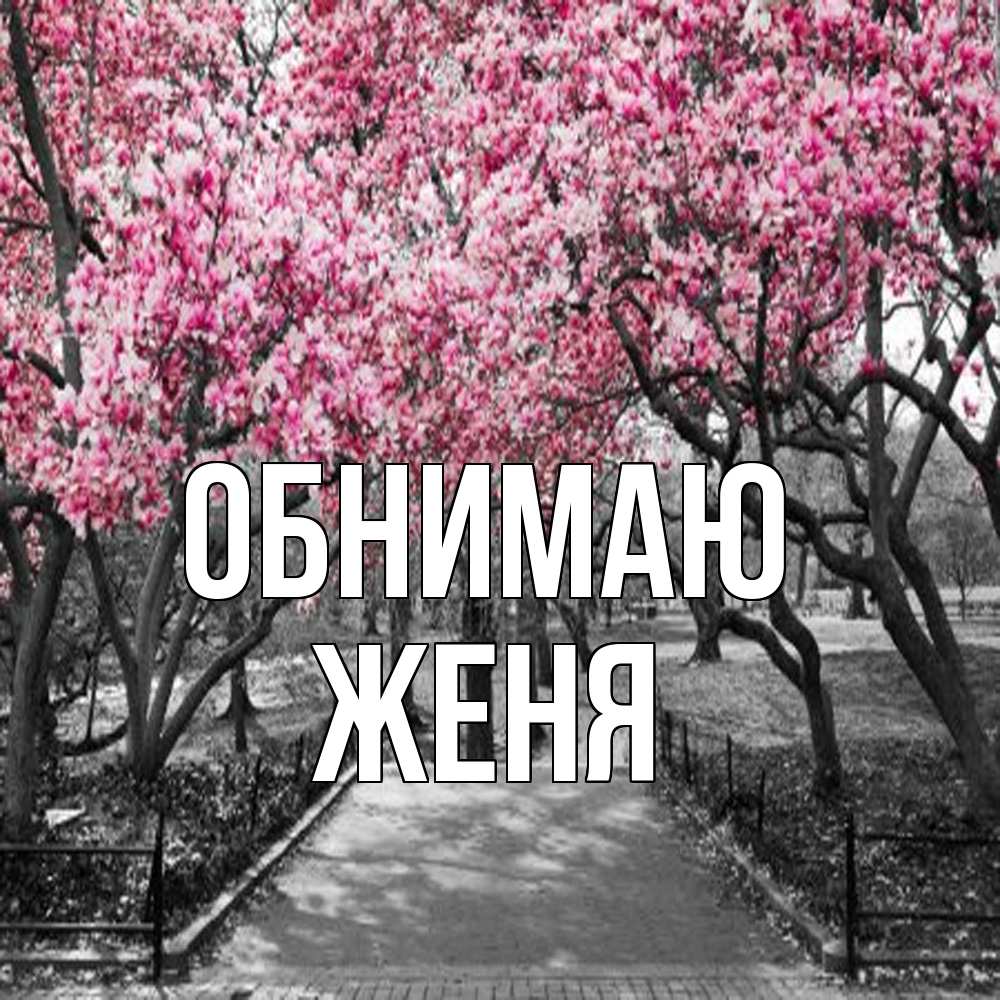 Открытка  с именем. ЖЕНЯ, Обнимаю  