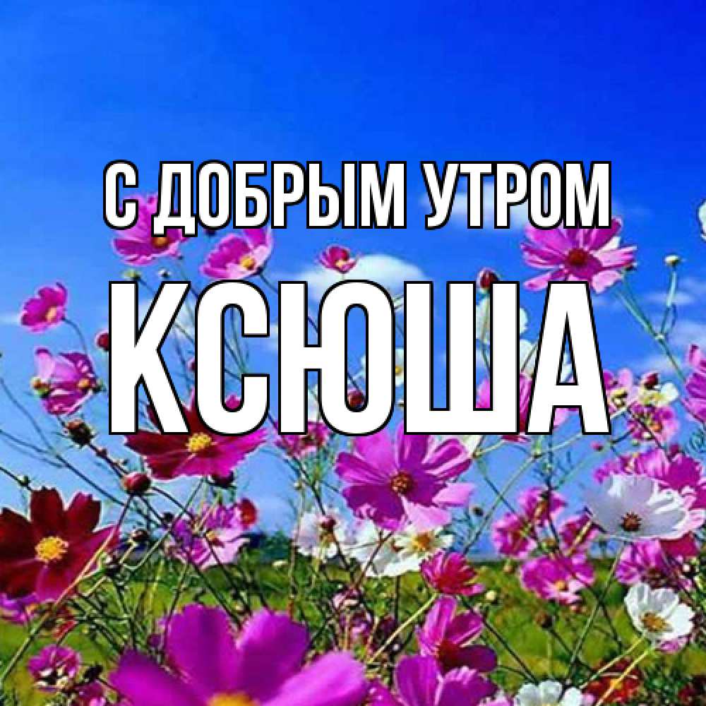 Открытка  с именем. Ксюша, С добрым утром  