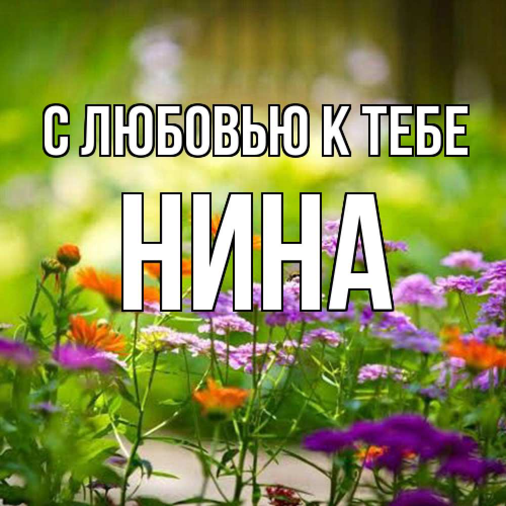 Открытка  с именем. Нина, С любовью к тебе  