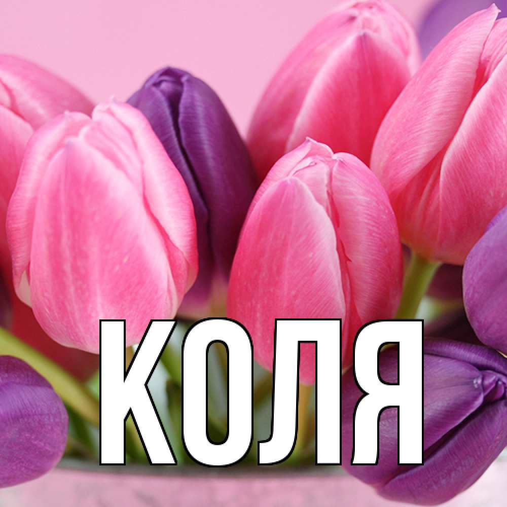 Открытка  с именем. коля, Главная  