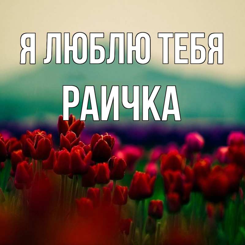Картинка Я люблю тебя, Раичка