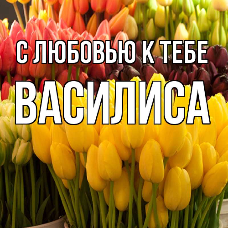 Картинка С любовью к тебе, Василиса