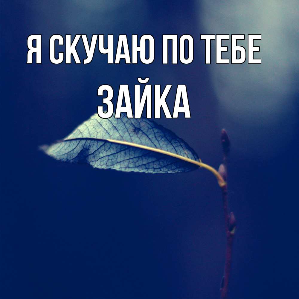 Открытка  с именем. Зайка, Я скучаю по тебе  