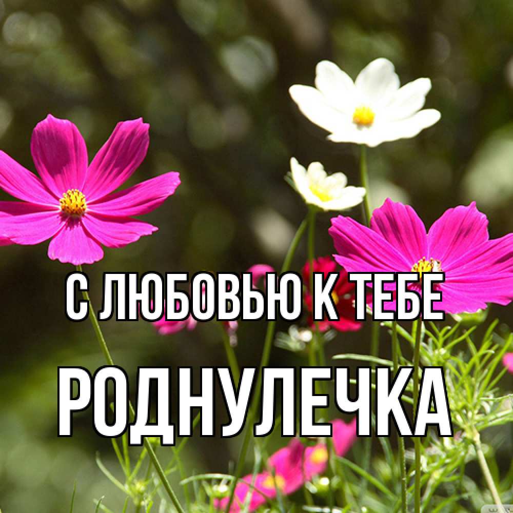 Открытка  с именем. Роднулечка, С любовью к тебе  
