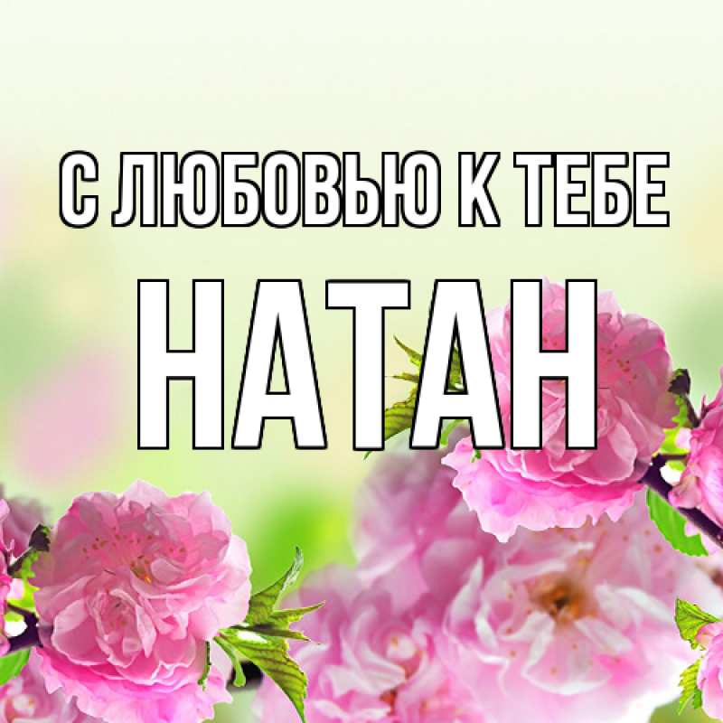 Картинка С любовью к тебе, Натан