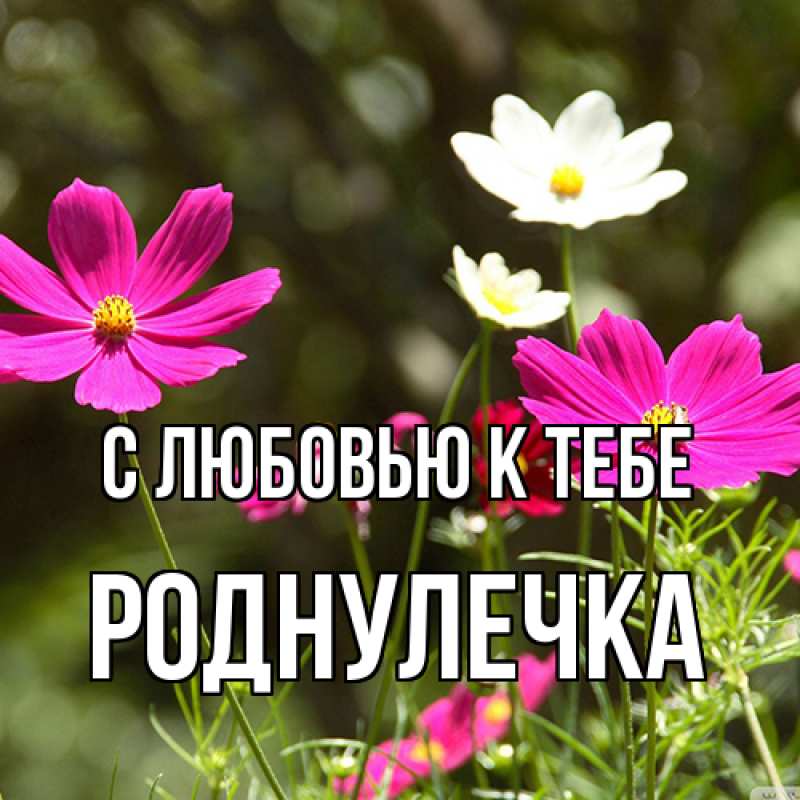 Картинка С любовью к тебе, Роднулечка