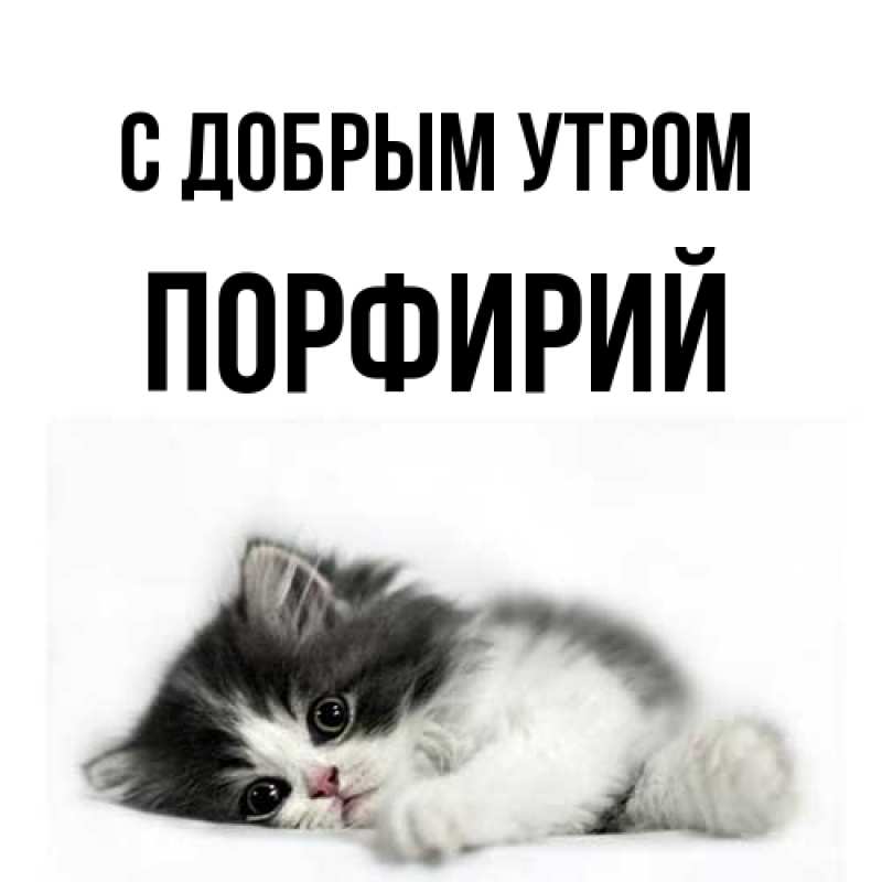 Картинка С добрым утром, Порфирий