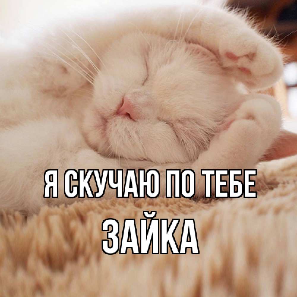 Открытка  с именем. Зайка, Я скучаю по тебе  