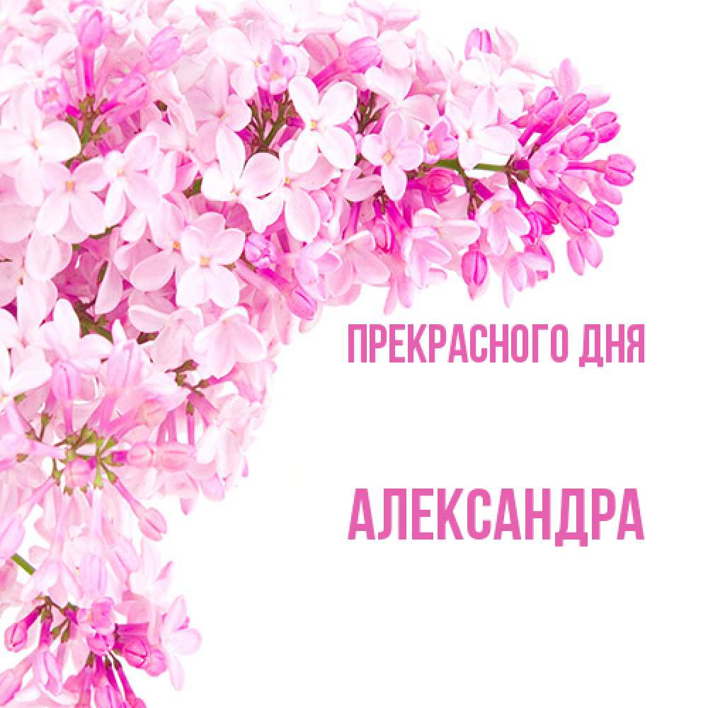 Открытка  с именем. Александра, Прекрасного дня  