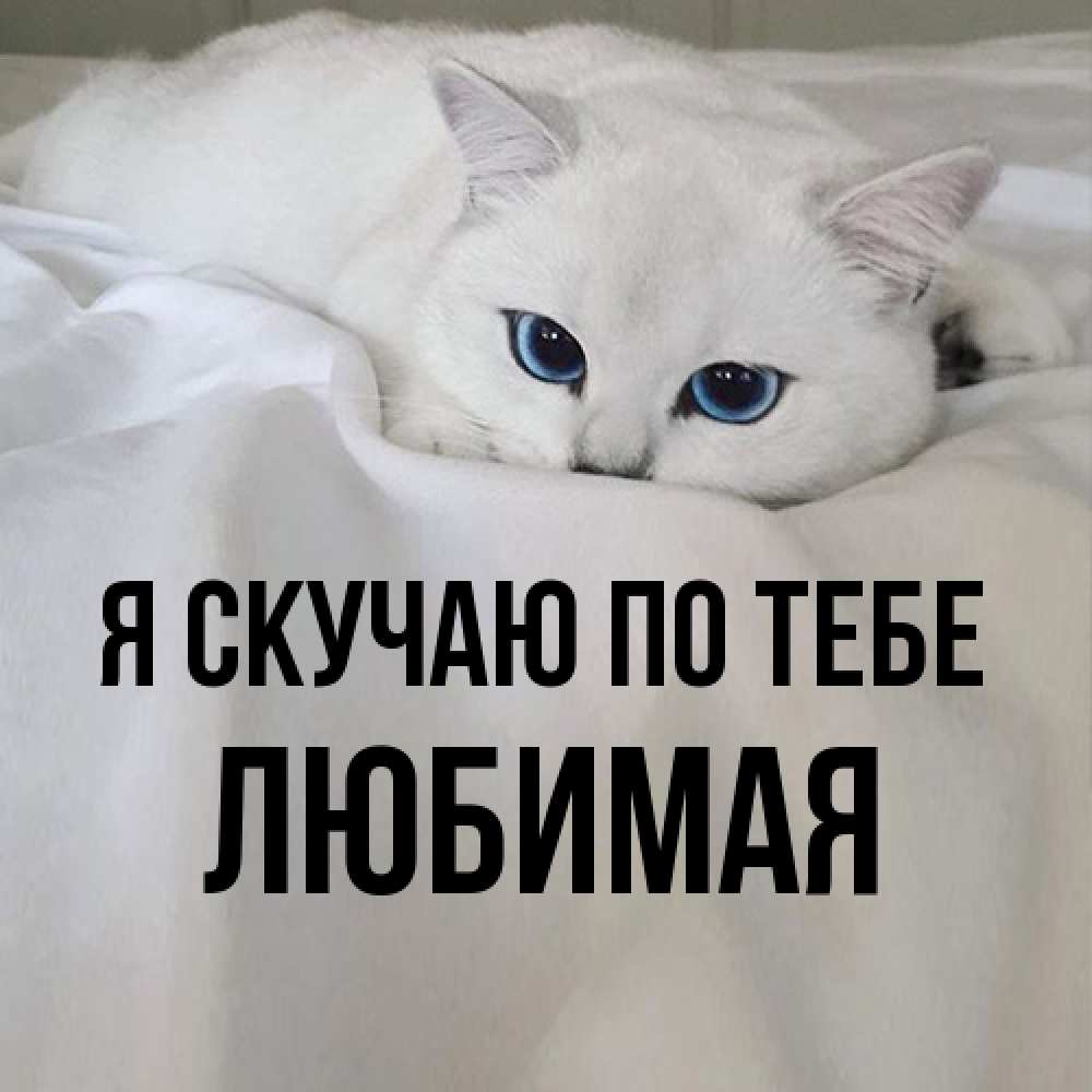 Открытка  с именем. Любимая, Я скучаю по тебе  