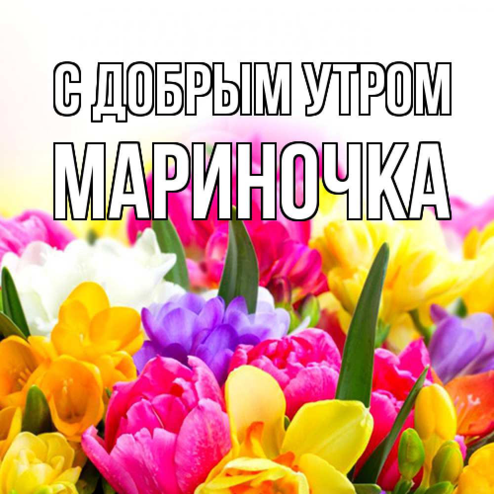 Открытка  с именем. Мариночка, С добрым утром  