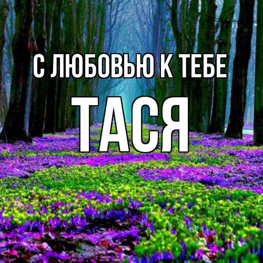 Открытка  с именем. Тася, С любовью к тебе  