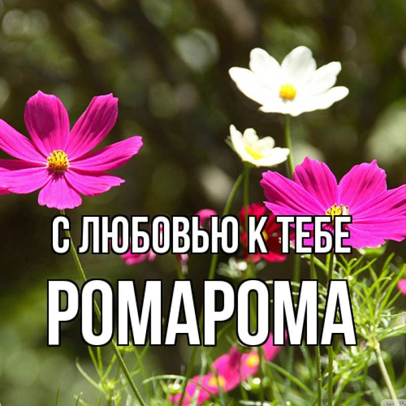Картинка С любовью к тебе, РомаРома