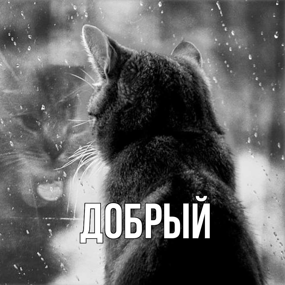 Открытка  с именем. Добрый, Главная  