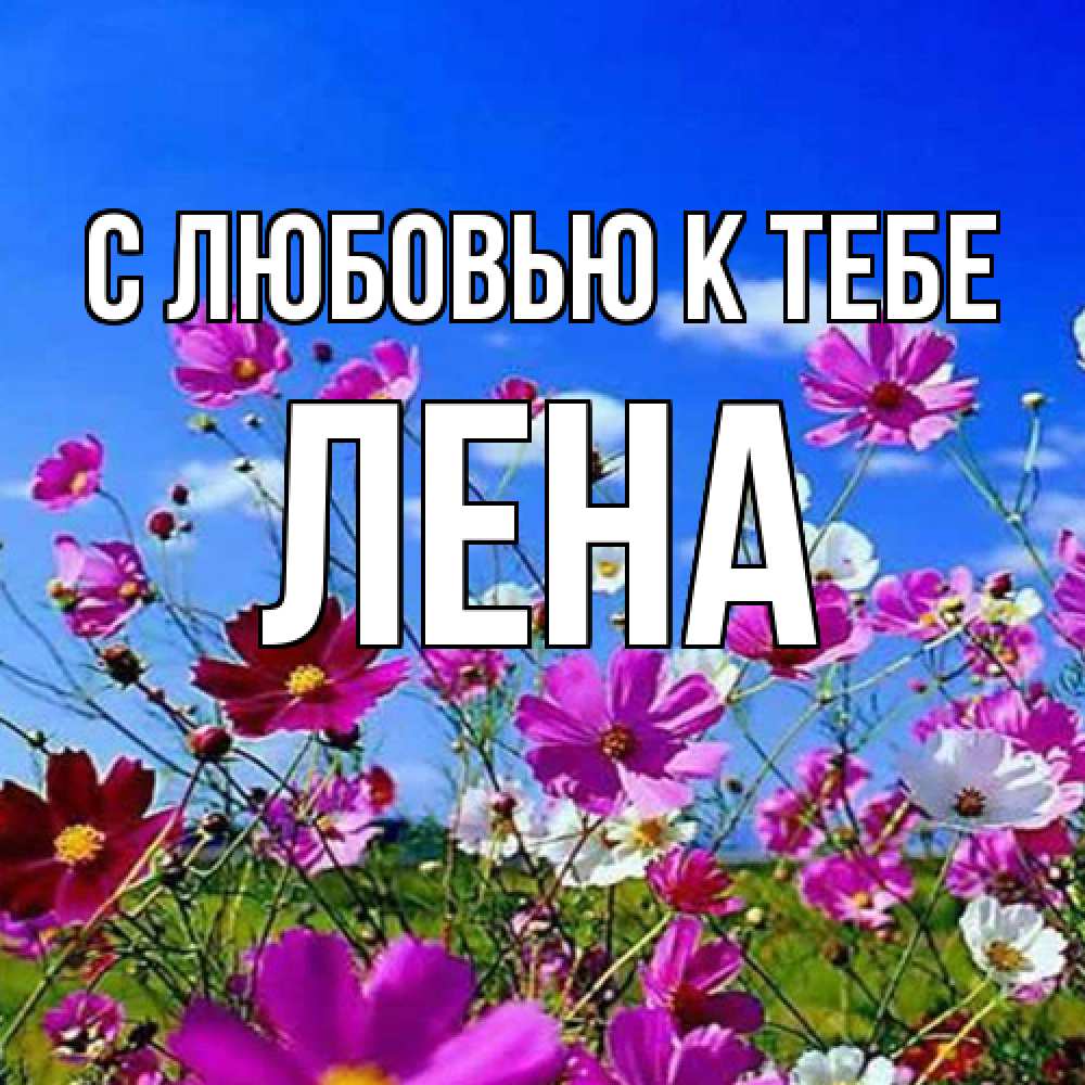 Открытка  с именем. лена, С любовью к тебе  