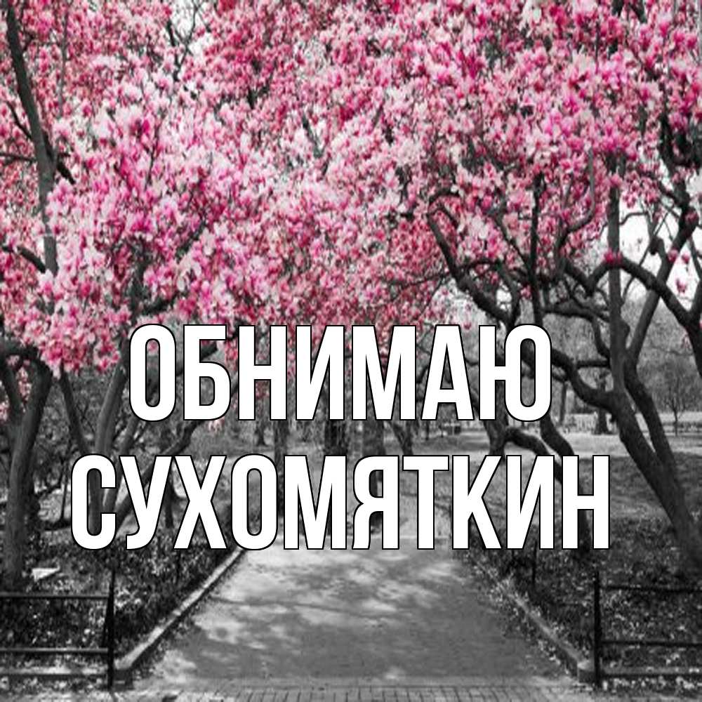 Открытка  с именем. Сухомяткин, Обнимаю  