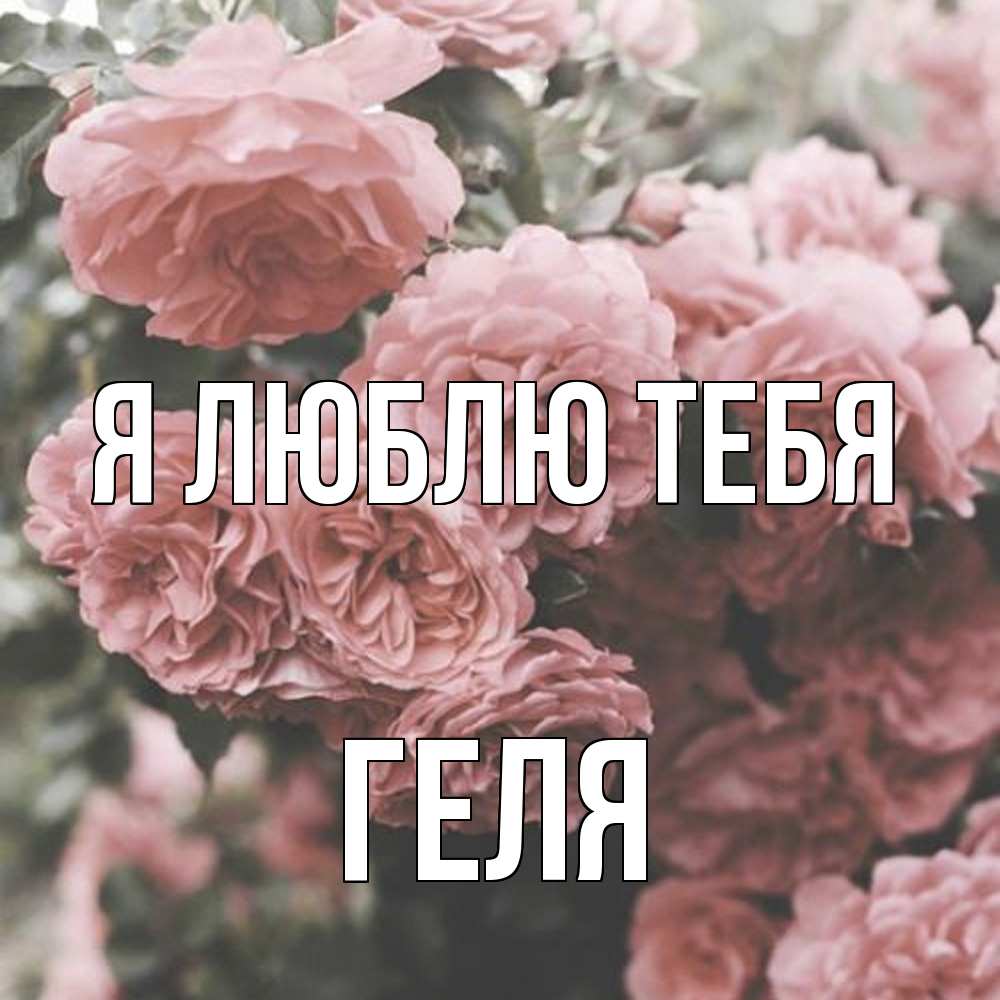 Открытка  с именем. Геля, Я люблю тебя  