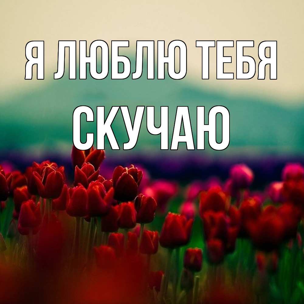Открытка  с именем. Скучаю, Я люблю тебя  