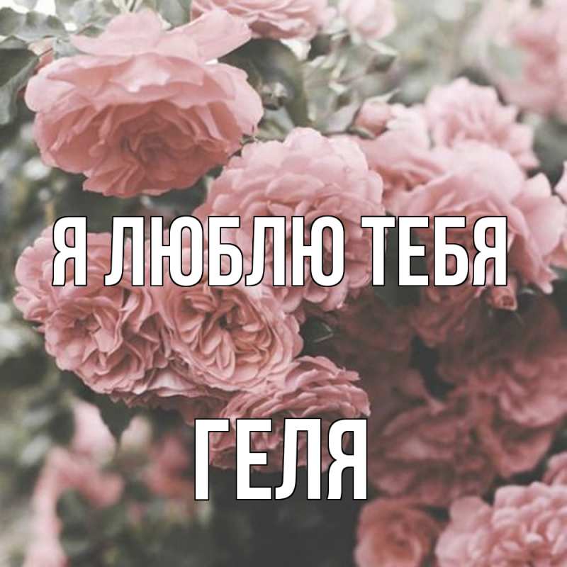 Картинка Я люблю тебя, Геля