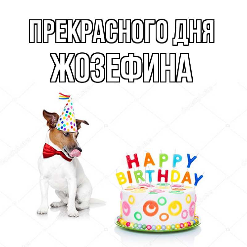 Картинка Прекрасного дня, Жозефина
