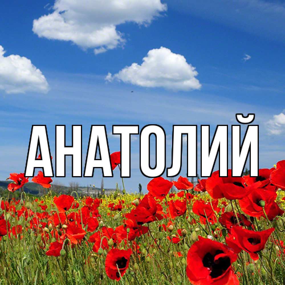 Открытка  с именем. Анатолий, Главная  